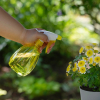 Zraszacz transparentny FLORA 550ml żółty